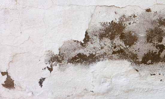 Wasserschadensanierung